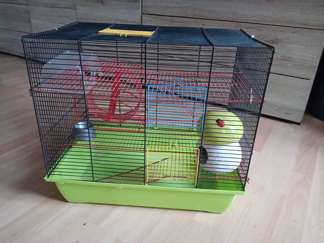 Elbląg Sprzedam dużą klatkę trzy poziomową, wys.48,dł.50,szer.32cm z trzeba drzwiczkami, dwa od frontu, jeden od góry