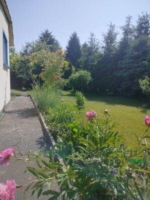 Elbląg Sprzedam działkę ROD Okólnik w Elblągu o powierzchni 290 m kw. która mieści się z dala od zgiełku pod samym