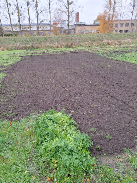 Elbląg Wykonam usługę traktorkiem z glebogryzarką.