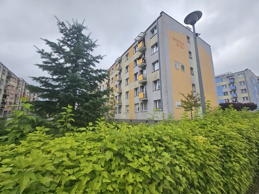 Elbląg KWADRAT NIERUCHOMOŚCI3 pokojoweul. GwiezdnaSielanka​​​​​​​dostępne od