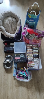 Elbląg Witam sprzedam 55 saszetek karmy dla kota sos, 8 kg karmy  suchej legowisko duża kuweta i worki 30 szt  i