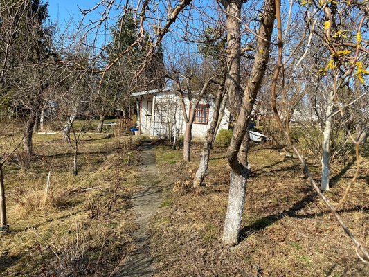 Elbląg &nbsp; &nbsp;       SPRZEDAM DZIAŁKĘ ROD NA BIELANACH
                           JAGIELOŃCZYKA