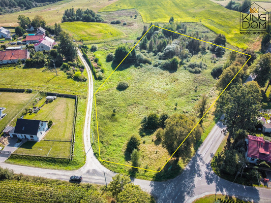 Elbląg 👑🏠KINGDOM  🏠👑NIERUCHOMOŚCI BLISKO CIEBIE  DUŻA, UROKLIWA DZIAŁKA