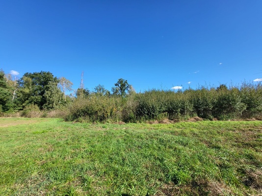 Elbląg AS NIERUCHOMOŚCI POLECAATRAKCYJNA DZIAŁKA BUDOWLANA PRZY LESIE W