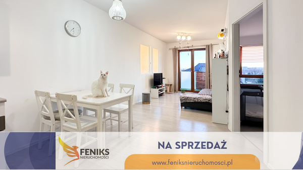 Elbląg FENIKS NIERUCHOMOŚCIPOLECA:MIESZKANIE DO WPROWADZENIA UL. DONIMIRSKICHPOWIERZCHNIA 45,25 M21 PIĘTRO2