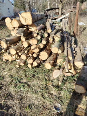 Elbląg witam, 
sprzedam ok 2 i pół m3 świerka ściętego zimą, pocięte na ok 1,2 m, grubsze na 0,6 m długości
cena za