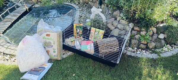 Elbląg Ekstra zestaw dla grynozi 
1.Duża klatka 100x55x44 cm
2.Domek drewniany 30x50 cm
3.Kula interaktywna do