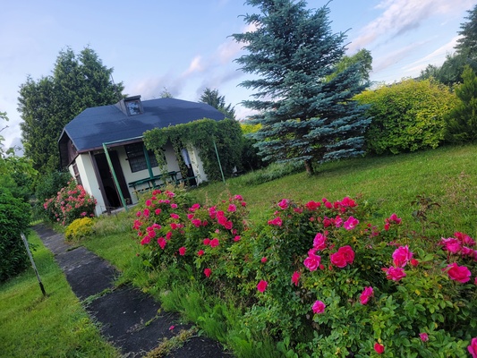 Elbląg Sprzedam zadbaną działkę ogrodniczą&nbsp; w ROD BRATEK 500 m2 (prąd + woda)