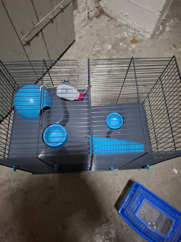 Elbląg Sprzedam praktycznie nową klatke na chomika wraz z kontenerkiem do transportu.