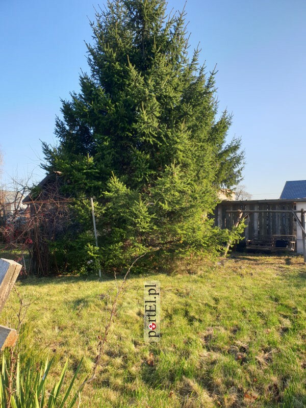 Elbląg BIURO MEGA-CONSULT NIERUCHOMOŚCI - WYCENA, SPRZEDAŻ, WYNAJEMOFERUJE ATRAKCYJNĄ DZIAŁKĘ BUDOWLANĄ TYLKO ZA