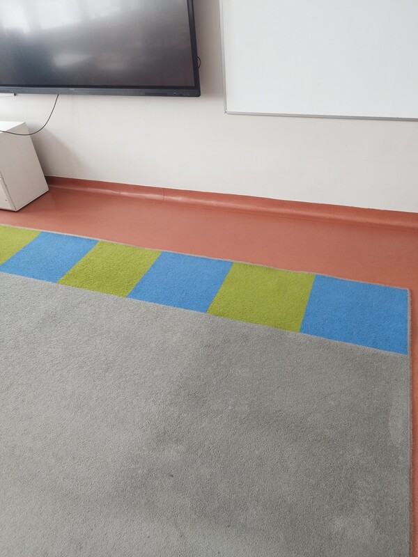 Elbląg 🌟 Profesjonalne czyszczenie dywanów, wykładzin, obić tapicerskich - RITTA Świeżość i blask