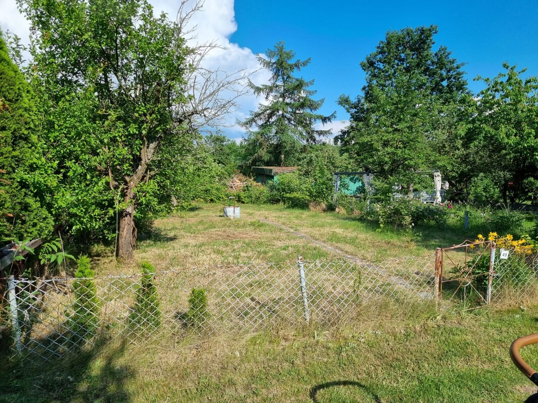 Elbląg DZIAŁKA ROD 240m2 SAPERÓW cena: 8000 zł