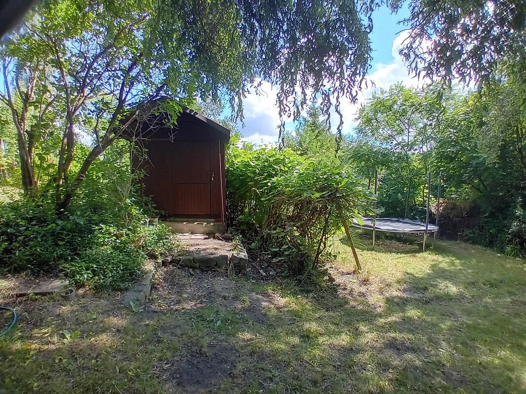 Elbląg 🌳 Wyjątkowo duża, piękna działka z altanką w okazyjnej cenie w ROD Moniuszki przy Parku Wodnym