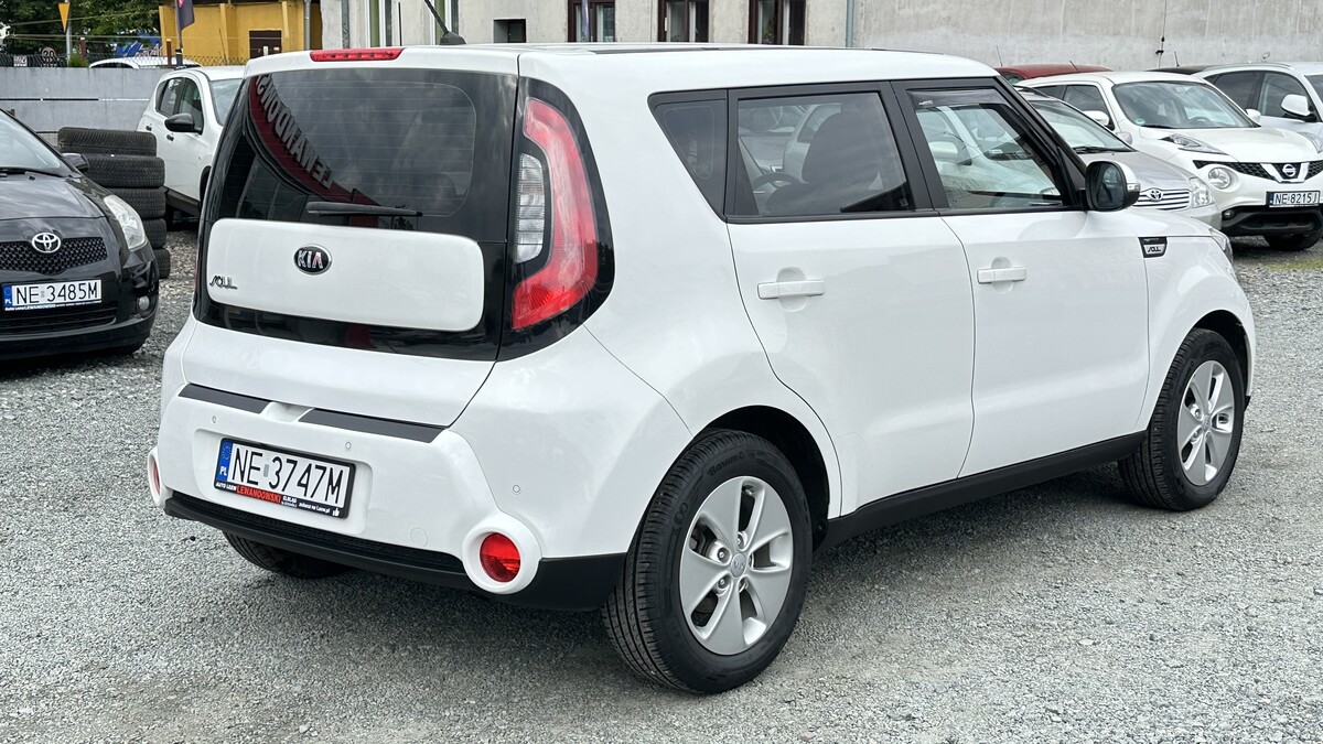 Elbląg Auto LeewLEWANDOWSKI