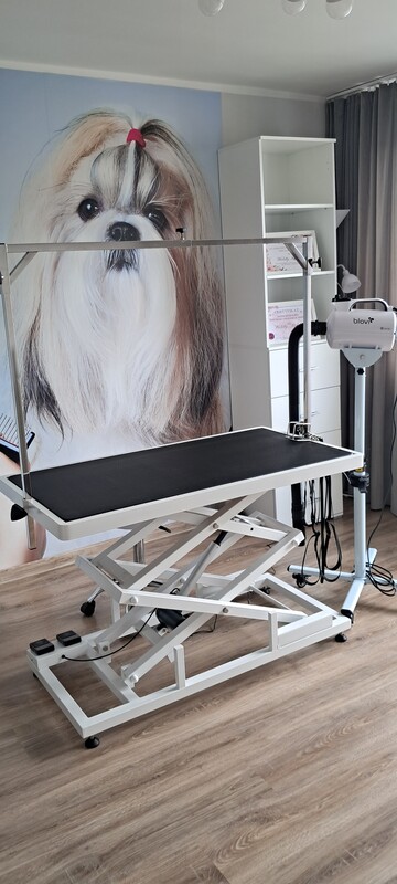 Elbląg 🐾 Psi fryzjer SOFII zaprasza! 🐶 15% rabatu na pierwszą wizytę!