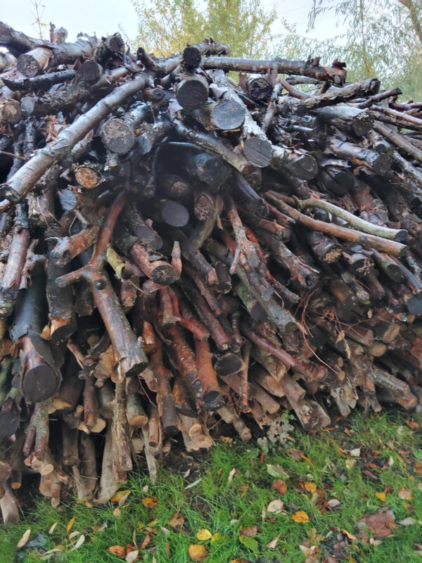 Elbląg Sprzedam drewno opałowe mieszane liściaste (buk, dąb, grab. brzoza, olcha)
220zł/m3 dowóz na terenie miasta w