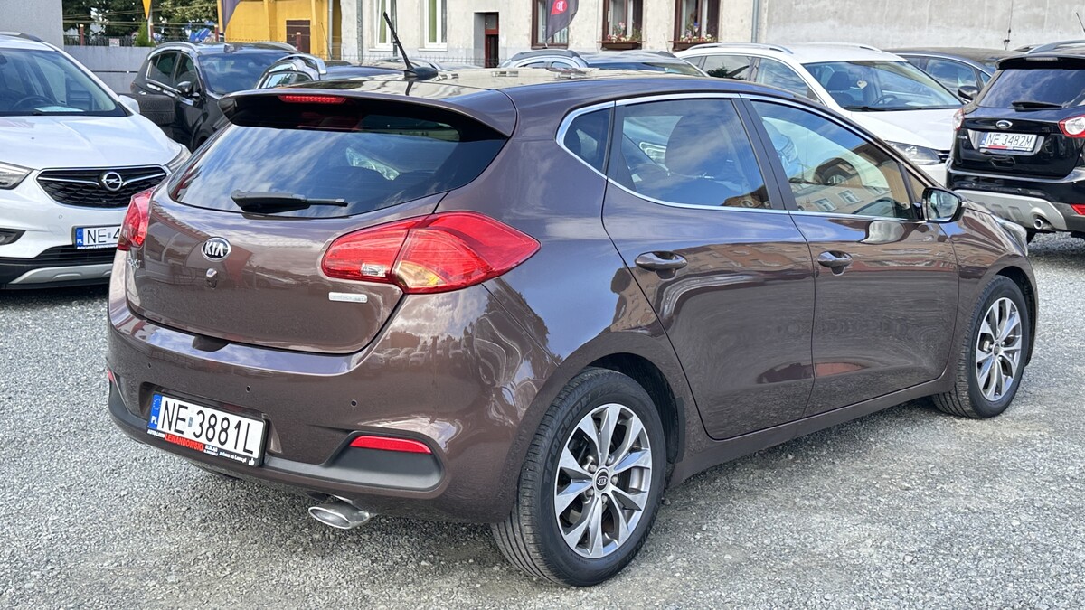Elbląg Auto Leew LEWANDOWSKI