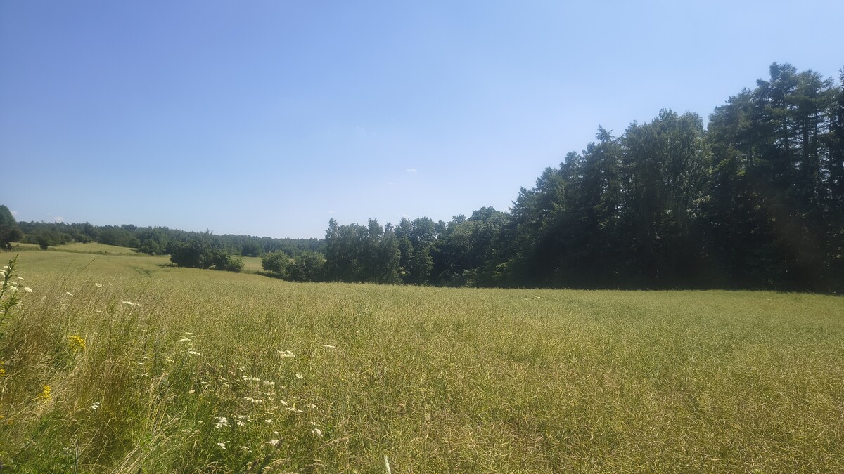 Elbląg Działki rolno-budowlane 10ha, widok na Zalew Wiślany, 30zł/m2!