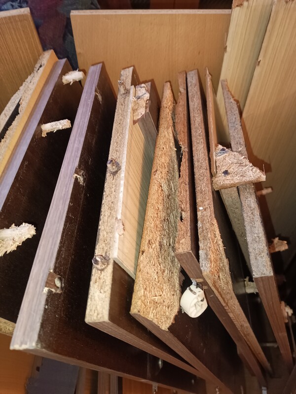 Elbląg Oddam za darmo wszystko to co na fotografii transport w waszym zakresie