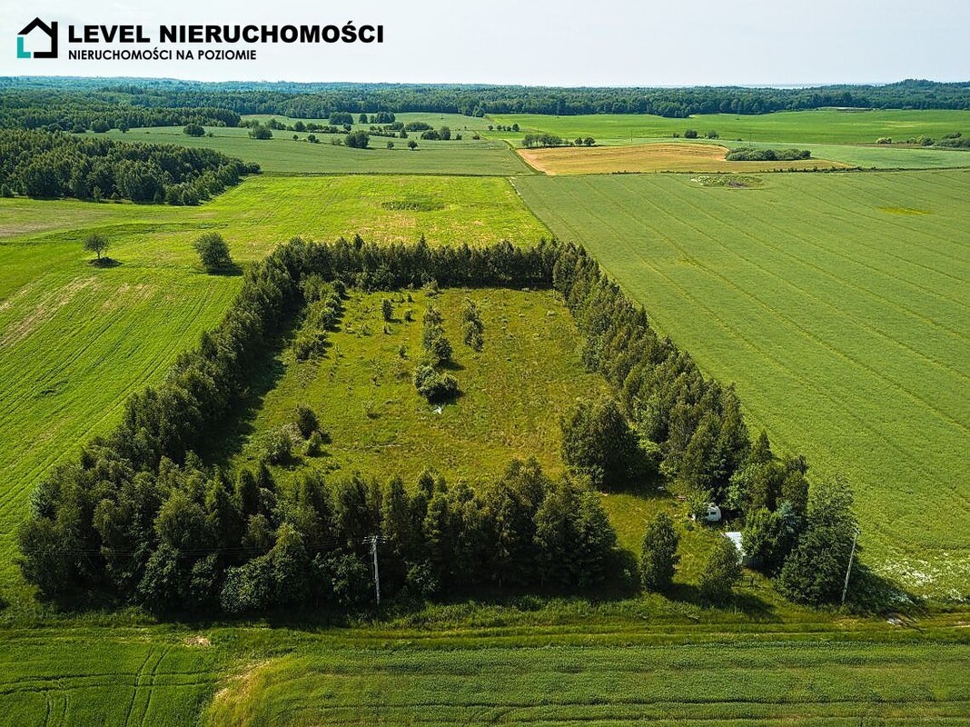 Elbląg LEVEL NIERUCHOMOŚCI Działka siedliskowa w Pogrodziu1,63 ha NIERUCHOMOŚCI NA POZIOMIE