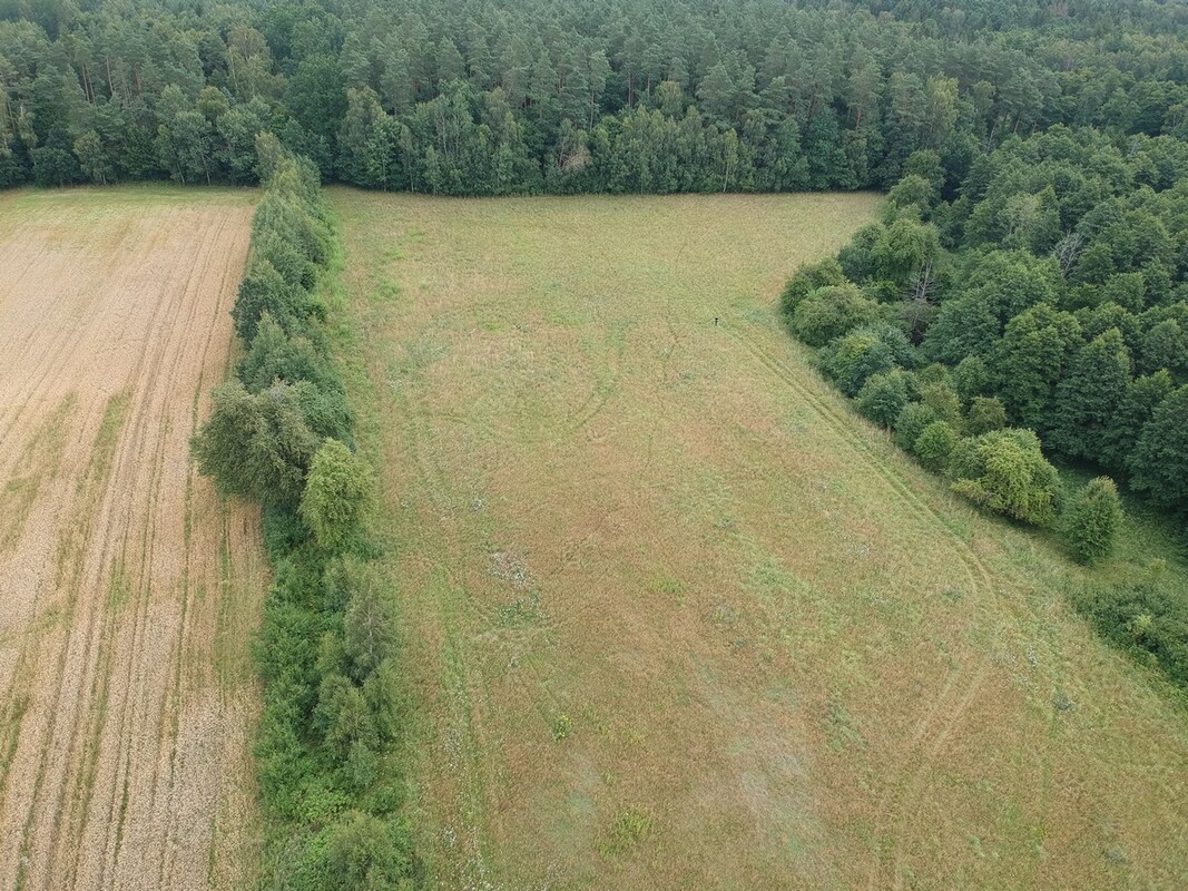 Elbląg SZULC & SZULC BIURO NIERUCHOMOŚCINA SPREDAŻ Działka budowlana - Błudowo gmina Młynary
