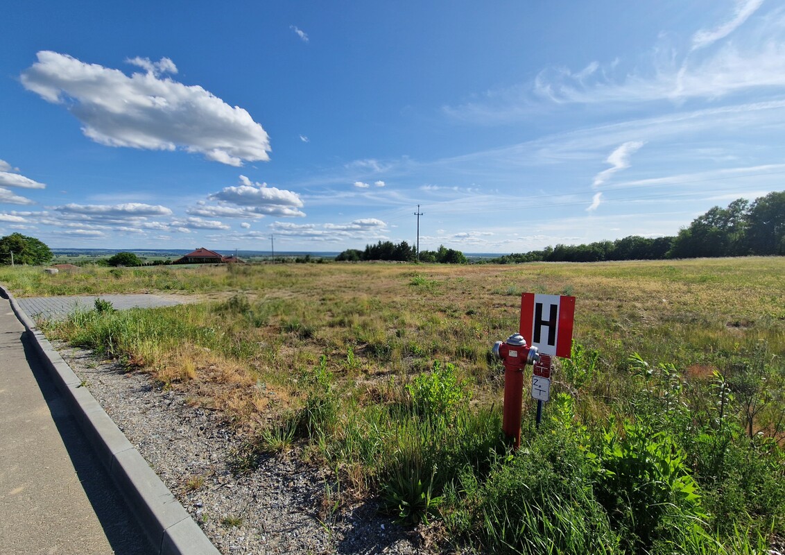 Elbląg Działka rolna w Pilonie - 1,32 ha - świetna lokalizacja z widokiem na jezioro Druzno