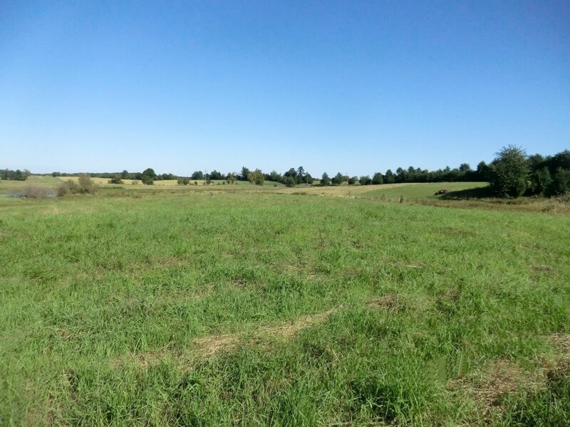 Elbląg * * * ABC NIERUCHOMOŚCI * * *NOWA CENA!! POLECAMY DZIAŁKĘ ROLNĄ W KARSZEWIEo pow. 4,9600 haz oczkiem wodnymz