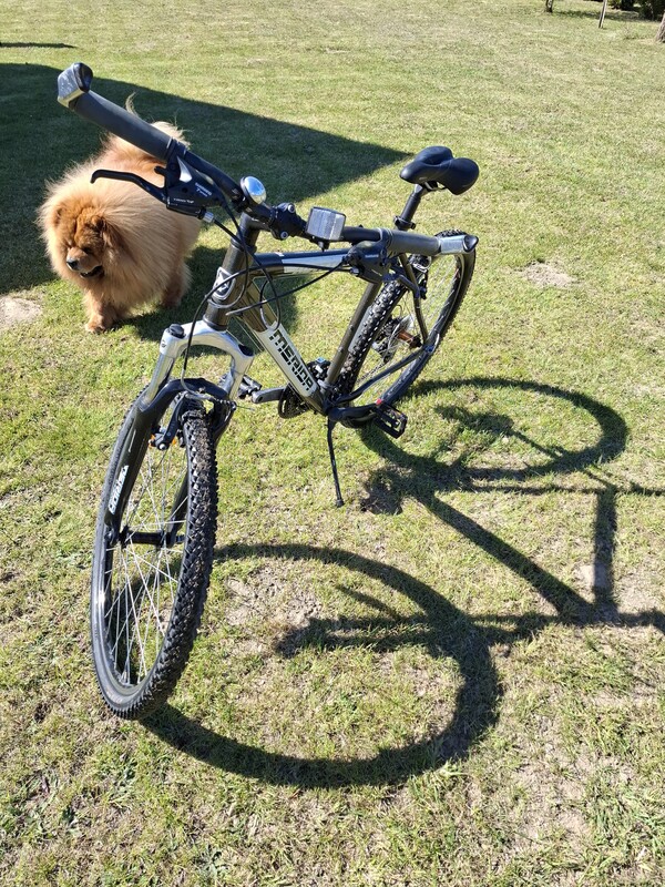 Elbląg 🚲 Sprzedam rower używany MERIDA – w pełni sprawny, rama aluminiowa! ☎️cena: 420 zł.