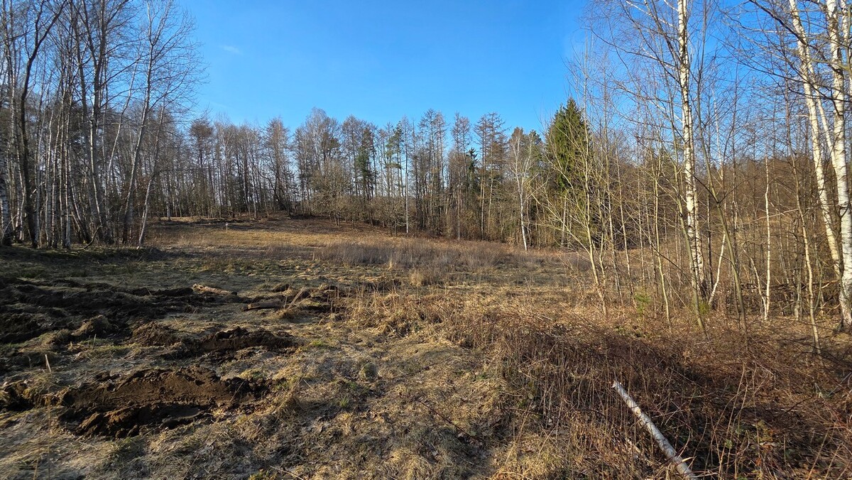 Elbląg SZULC & SZULC BIURO NIERUCHOMOŚCI NA SPRZEDAŻDziałka budowlana - Elbląg ul.