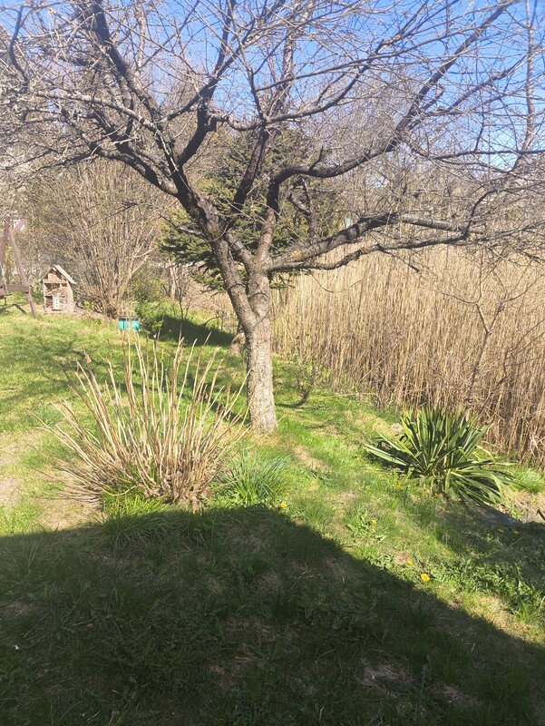 Elbląg Sprzedam działkę ROD w Tęczy