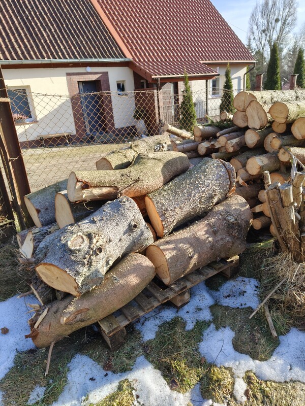 Elbląg witam,
sprzedam ok 2 i pół m3 świerka ściętego zimą, pocięte na ok 1,2 m, grubsze na 0,6 m długości
cena za