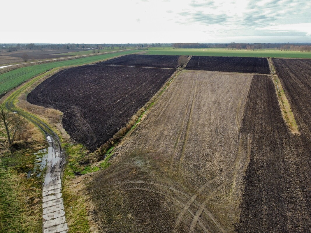 Elbląg NIERUCHOMOŚCI ANNA KRASZEWSKAGrunty rolne na sprzedaż 11,65 haSzopy, gm. Gronowo Elbląskie, powiat elbląski