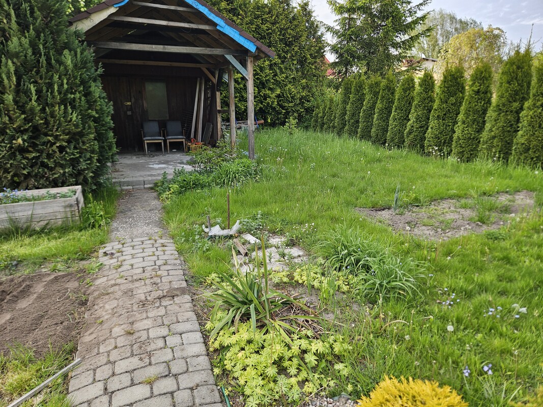 Elbląg Dzialka ROD im Kopernika przy ul. Klonowej. Działka zadbana i ogrodzona, z dostępem do prądu i wody.
Na