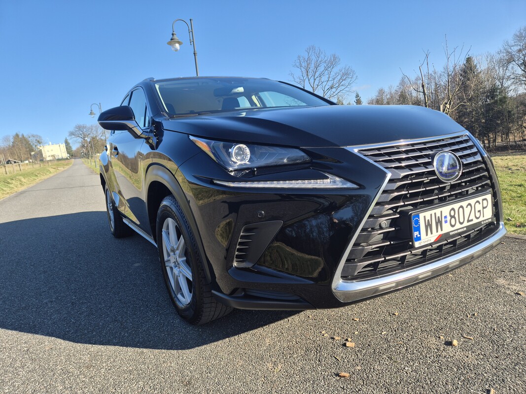 Elbląg Lexus NX300h 2019 | Hybryda Automat | AWD 4x4 |Optimum Elegance | Dwa komplety kół