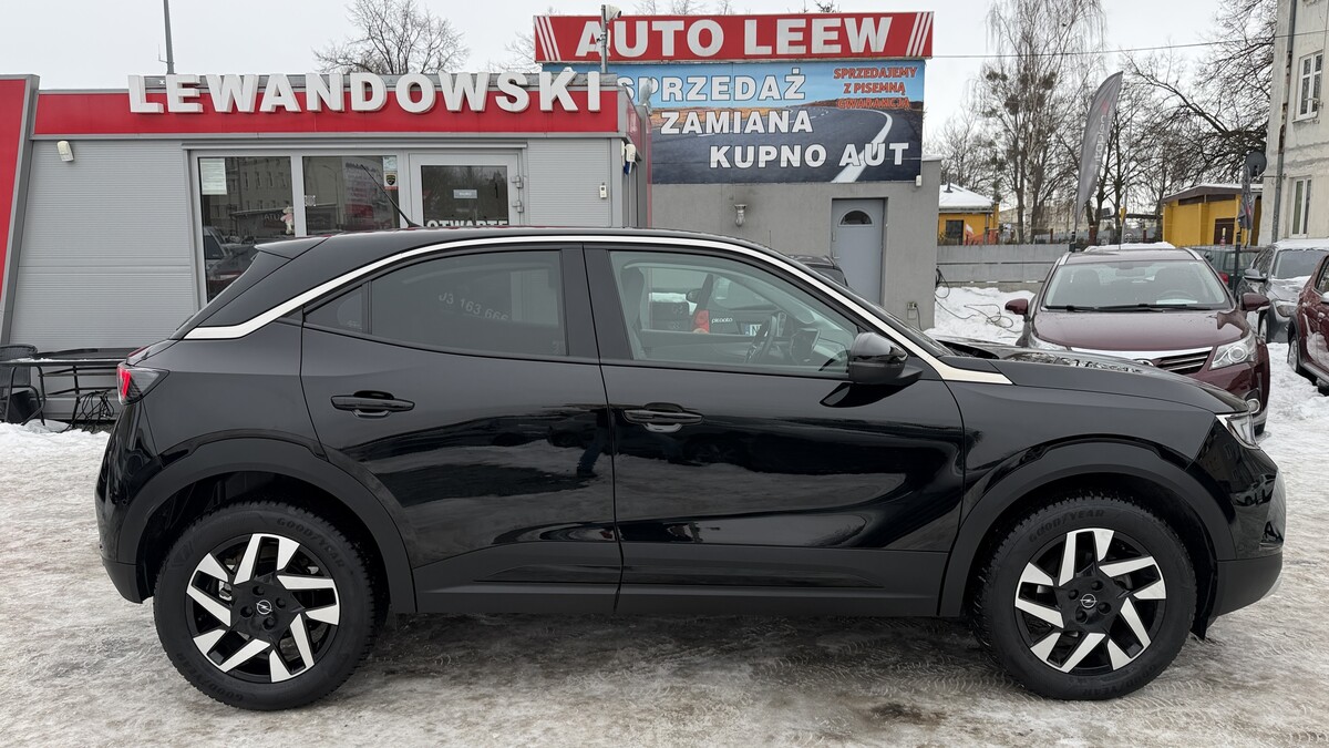 Elbląg Auto Leew LEWANDOWSKI