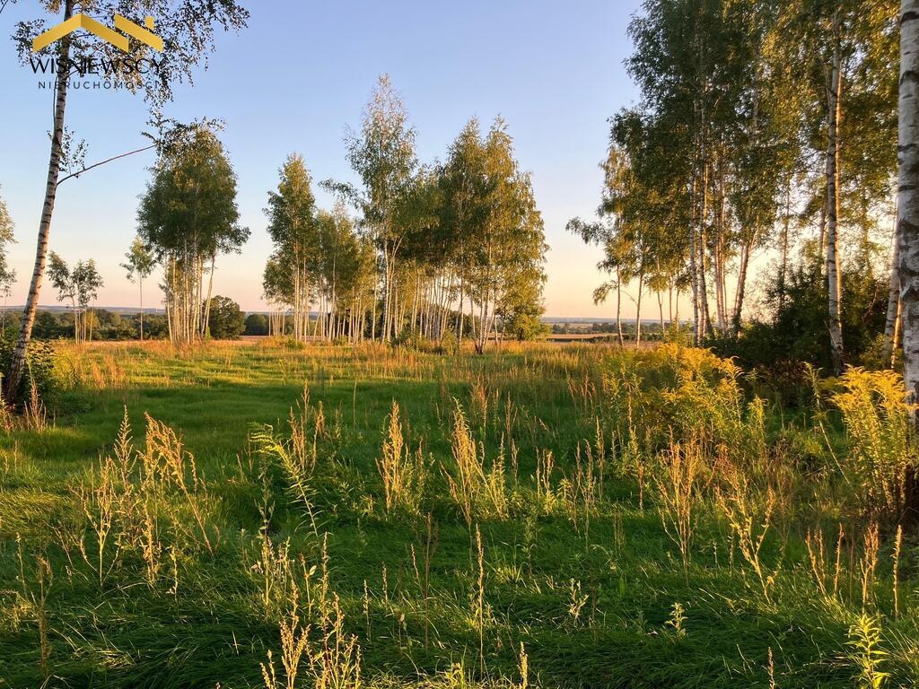 Elbląg WIŚNIEWSCY NIERUCHOMOŚCI Sp. z o.o.Sprzedam działkę - Dawidy. Oferta sprzedaży działki rolnej z wydaną