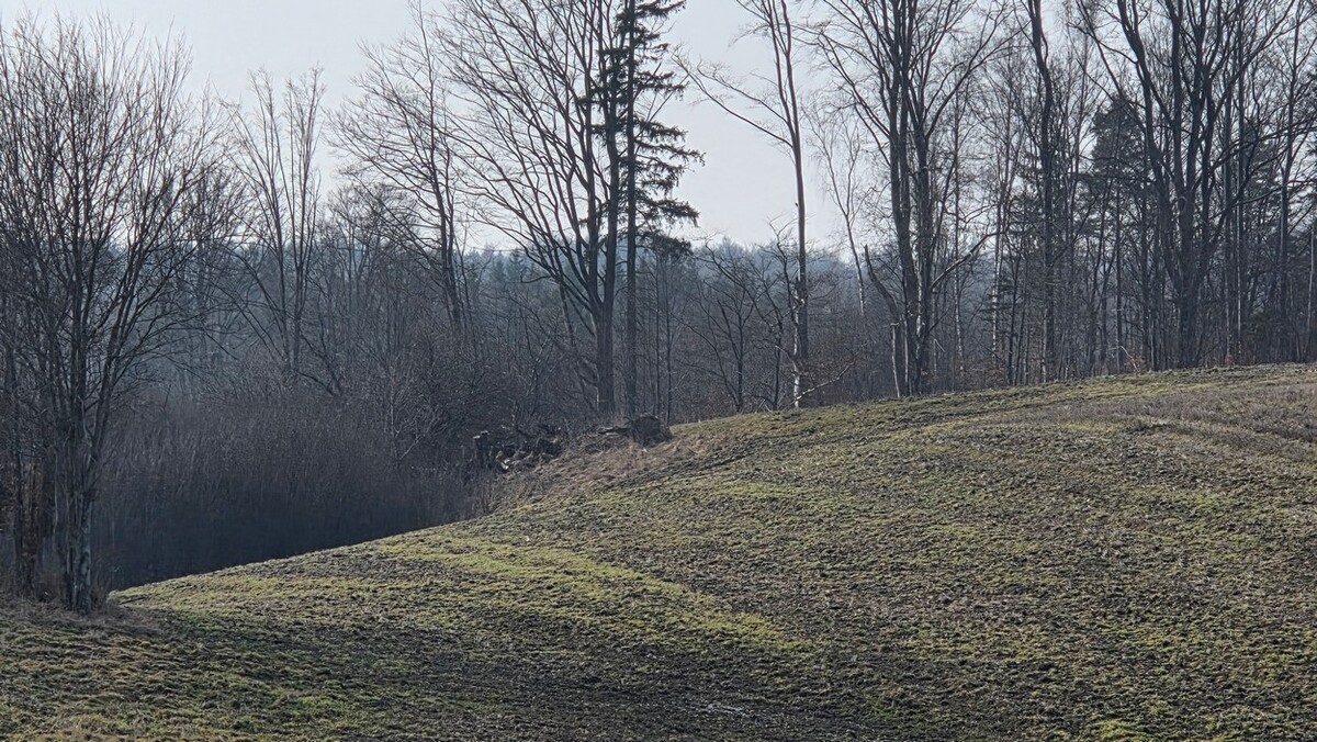Elbląg SZULC & SZULC BIURO NIERUCHOMOŚCI NA SPRZEDAŻDziałka budowlana - Stare Monasterzysko