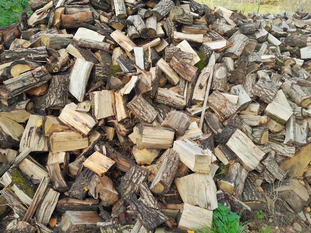 Elbląg SPRZEDAM DĄB NA OPAŁ