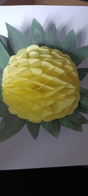 Elbląg Dzień dobry,
W ramach hobby wykonuje z papieru kartki okolicznościowe, origami modułowe 3d.
Poszukujesz