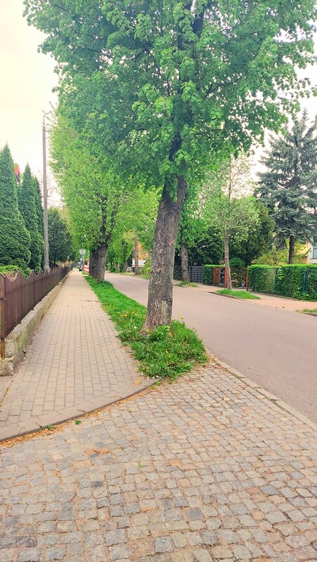 Elbląg PRYWATNA SPRZEDAZ. 1 piętro. Balkon Media miejskie Nowsze zasoby
GOTOWE DO ZAMIESZKANIA