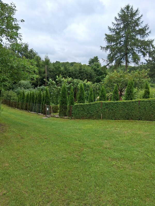 Elbląg Sprzedam działkę ROD SKOWRONEK ul. Okrężna. Na działce jest woda i prąd. Altana zadbana nowy dach więcej