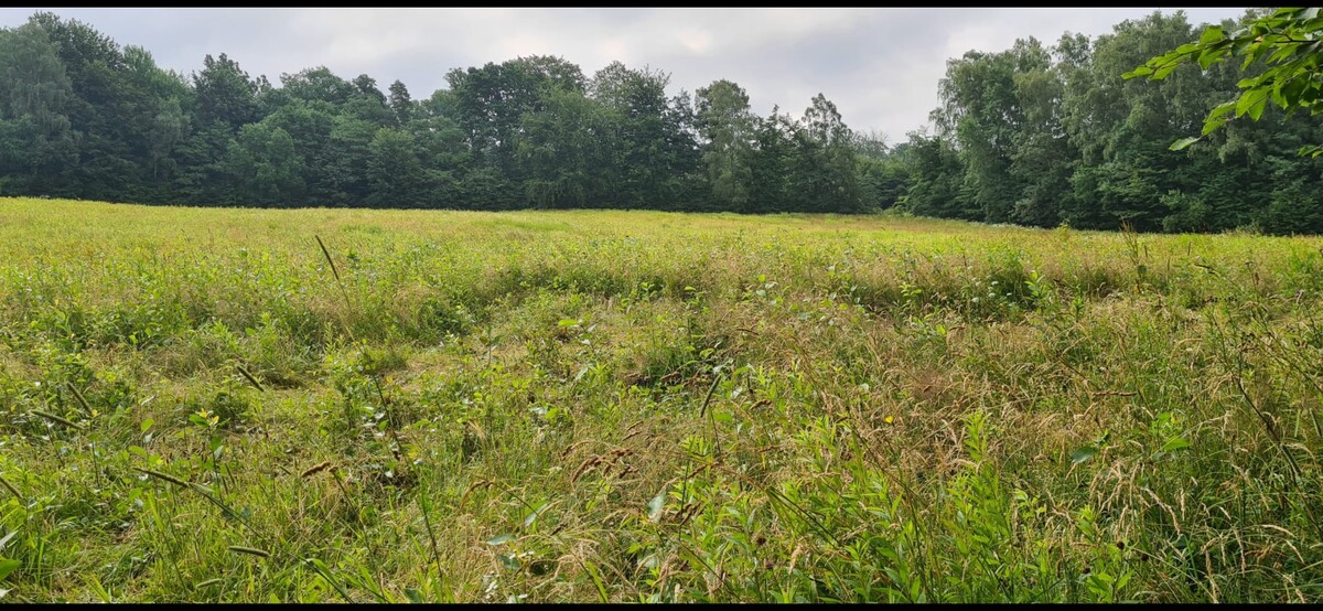 Elbląg Działka rolna w Łęczu- super lokalizacja !