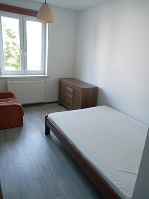 Elbląg Ńiezależny pokój z własną łazienką. 15m2 tylko wynajem długoterminowy.