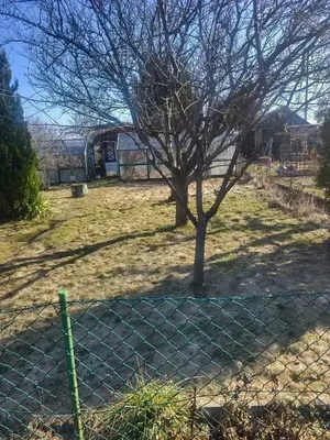 Elbląg ODSPRZEDAM PRAWO DO WŁASNOŚCI DZIAŁKI ROD