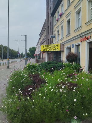 Elbląg Sprzedam lub wynajmę lokal użytkowy.