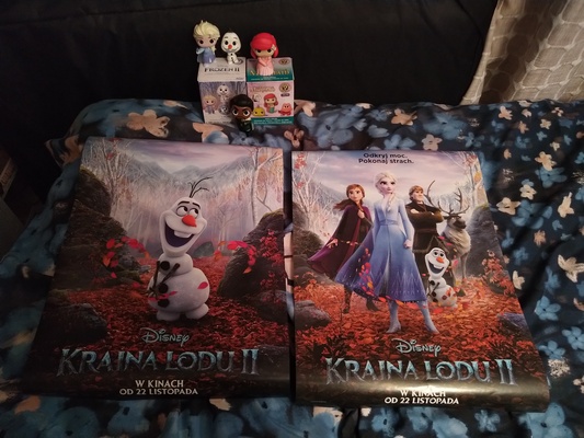 Elbląg Sprzedam figurki Funko (wyciągane z pudełka) i plakaty Kraina Lodu, stan jak na zdjęciach, odbiór osobisty,