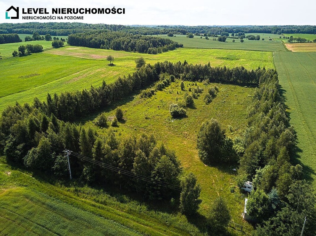 Elbląg LEVEL NIERUCHOMOŚCI Działka siedliskowa w Pogrodziu1,63 ha NIERUCHOMOŚCI NA POZIOMIE