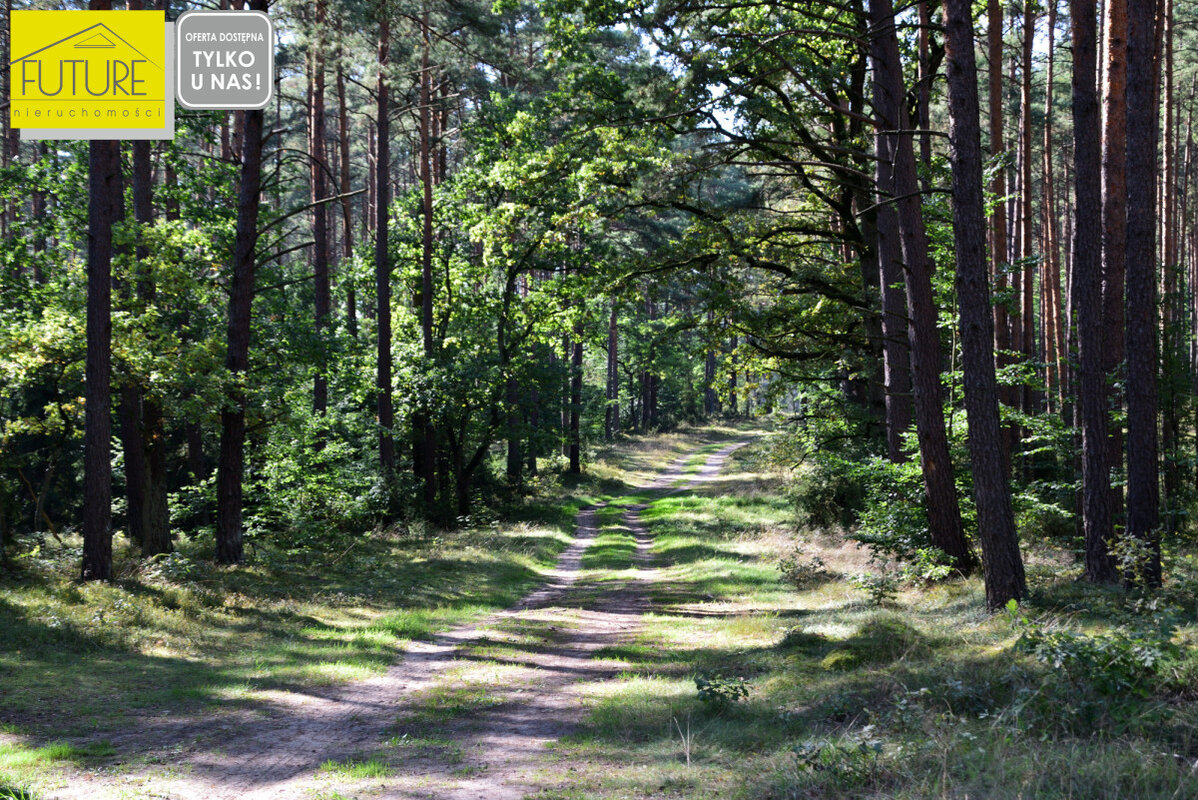Elbląg FUTURE NIERUCHOMOŚCISprzedam działkę - Wycinki. PIĘKNIE POŁOŻONA DZIAŁKA, BLISKO JEZIORA KAŁĘBIEPOD