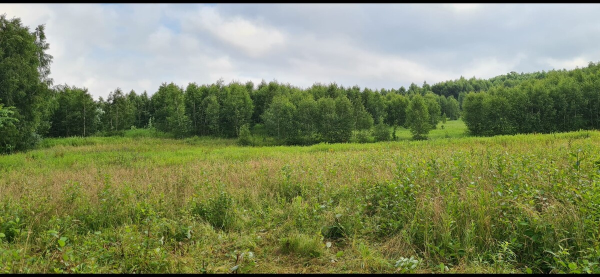 Elbląg Działka rolna w Łęczu- super lokalizacja !