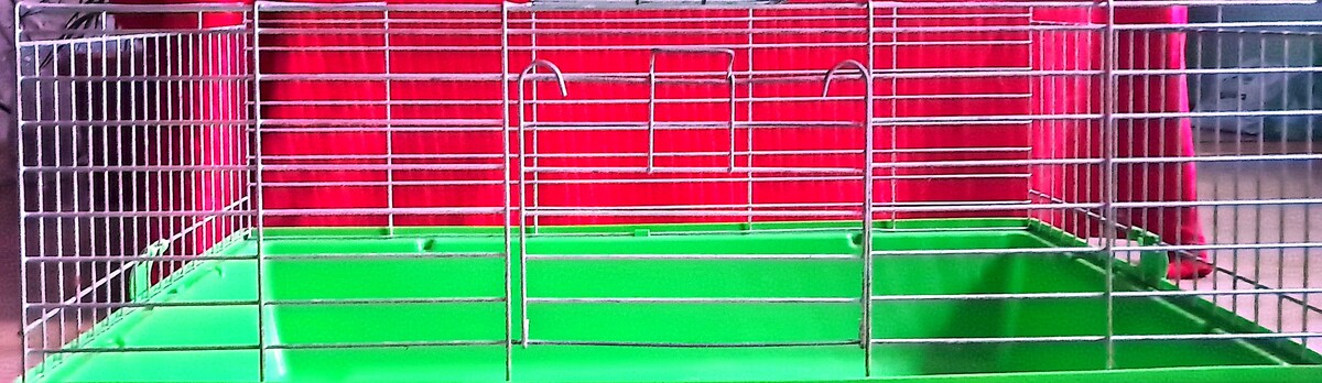 Elbląg Oddam za 120 zł komplet dla zwierzątka, klatka, transporter, kuweta. Wymiary klatka dł 75 cm, szer 45 cm, wys